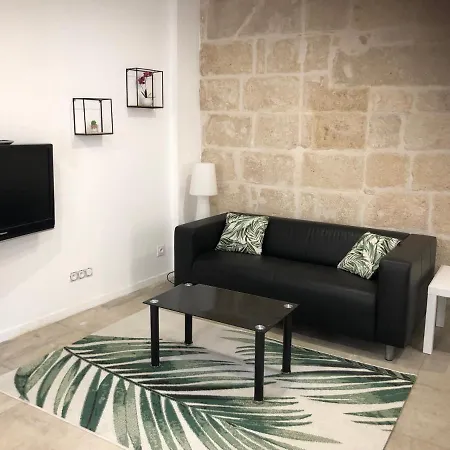 Appartement Au Calme Plein Centre Historique *