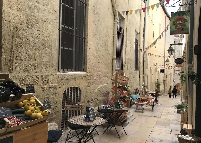 Au Calme Plein Centre Historique Appartement Montpellier